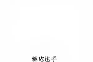 《旧唱片店》字幕事故封面